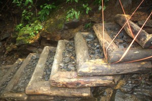 Log and stone stairs on Chimney Tops Trail