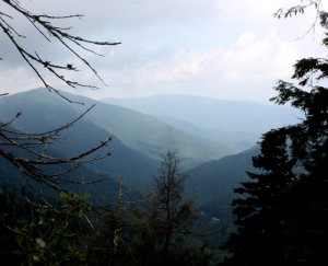 View from near top of Chimney Tops Trail. Photo by Julie Dodd