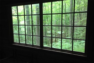 View from window of Avent Cabin