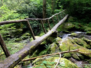 Log footbridge on way to Avent Cabin