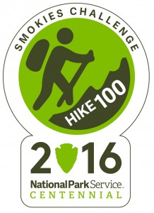 Hike 100 centennial pin