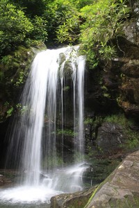 Grotto Falls - photo by Julie Dodd