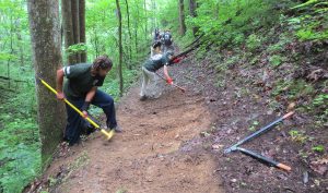 Interns work on Stonepile Gap Trail