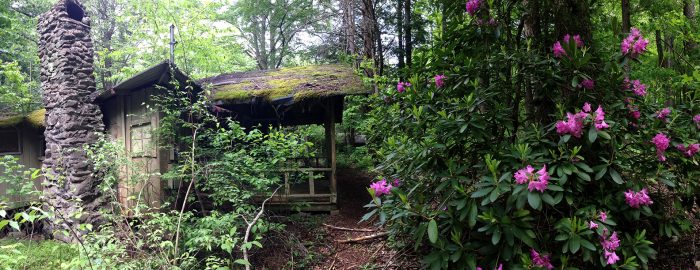 Elkmont cottage with rhododendron - photo by Julie Dodd