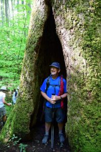 Boogerman Trail - standing inside tree