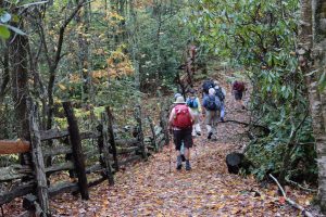 FOTS Purchase Knob hike on leaf-covered trail