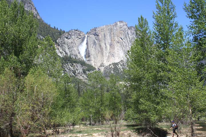 Bridalveil Falls Yosemite - photo by Julie Dodd