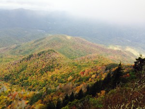 Mt Cammerer view photo by Kathryn Robertson