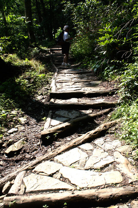Wood and rocks stairs, Chimney Tops Trail, Phase II. Photo by Julie Dodd
