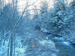 Cades Cove creek in snow, Great Smoky Mountains National Park. Photo by Julie Dodd