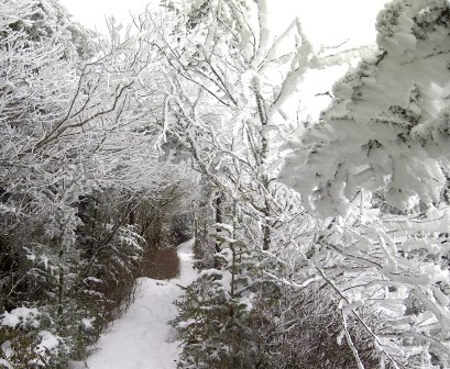 Snowy Smoky Mountain Trail
