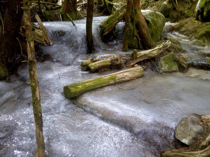 Appalachian Trail Ice Flow in Smoky Mountains - photo by Billy Jones