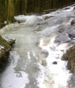 Icy Trail just north of Icewater Springs Shelter, Smoky Mountains - Photo by Billy Jones