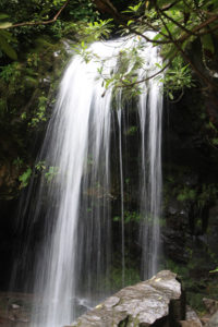 Grotto Falls, Great Smoky Mountains National Park