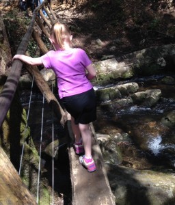 Crossing log bridge on Abrams Falls Trail