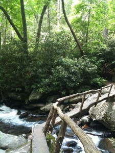 Log bridge on Porters Creek Trail