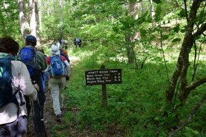 Hikers on Hyatt Ridge Trail