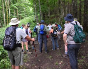 Danny Bernstein with Classic Hikes of the Smokies
