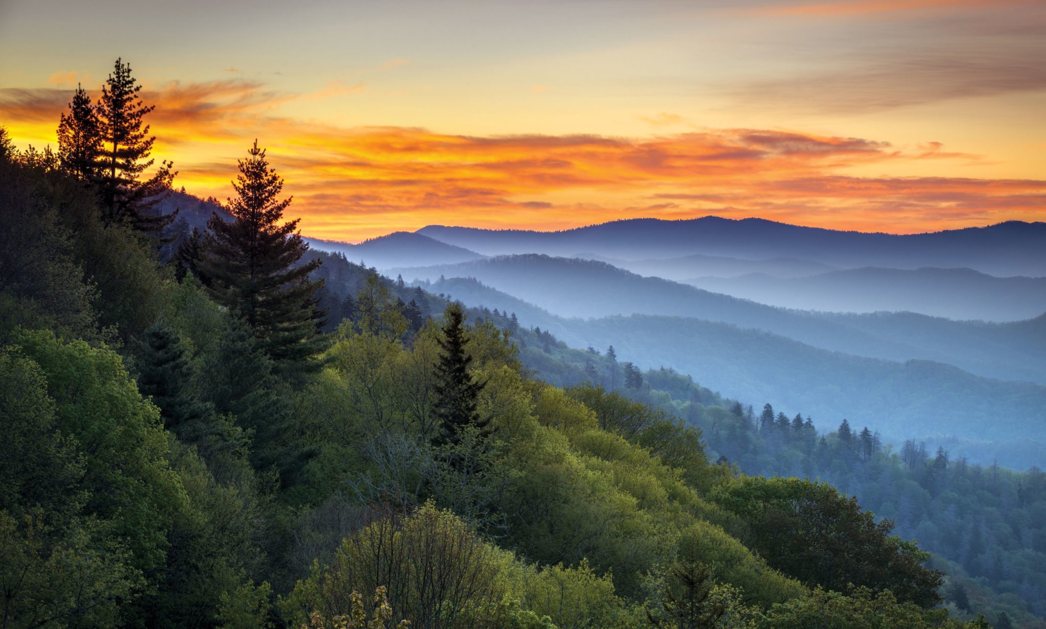 Don't Move Rocks!  Friends of the Smokies