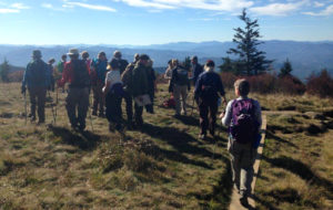 Andrews Bald view
