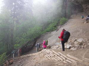 Alum Cave Trail - cable handrails