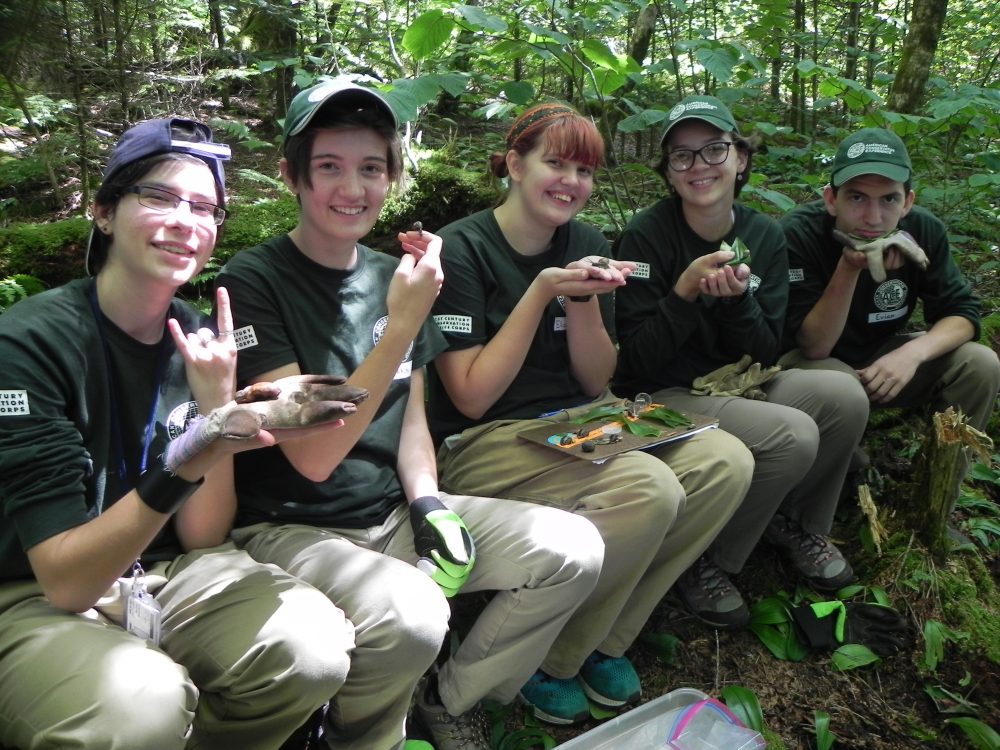 GSMNP high school interns collecting snails