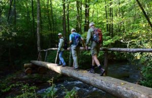 log bridge on Boogerman Trail