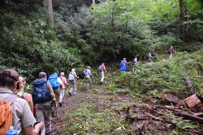 FOTS hikers on Maddron Bald Trail - photo by Linda Spangler