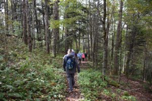 hiking Flat Creek Trail in GSMNP