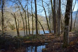 December Classic Hike 2018 river view - photo by Linda Spangler