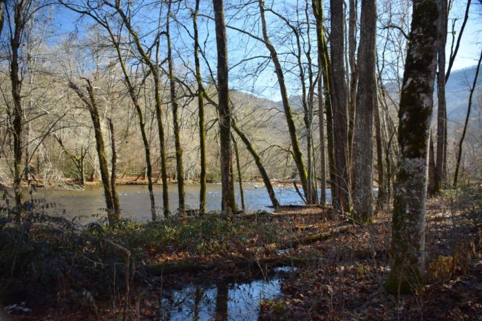 December Classic Hike 2018 river view - photo by Linda Spangler