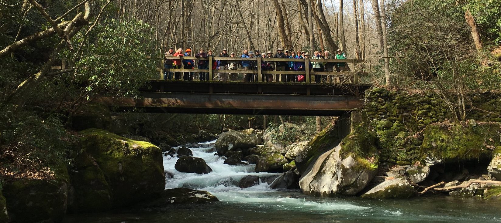 big creek mtb trail status