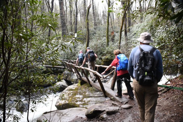 Hikers crossing log bridge on Porters Creek Trail