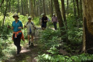 hikers on Twin Creeks Trail