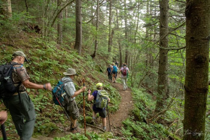 Hikers on Kephart Trail