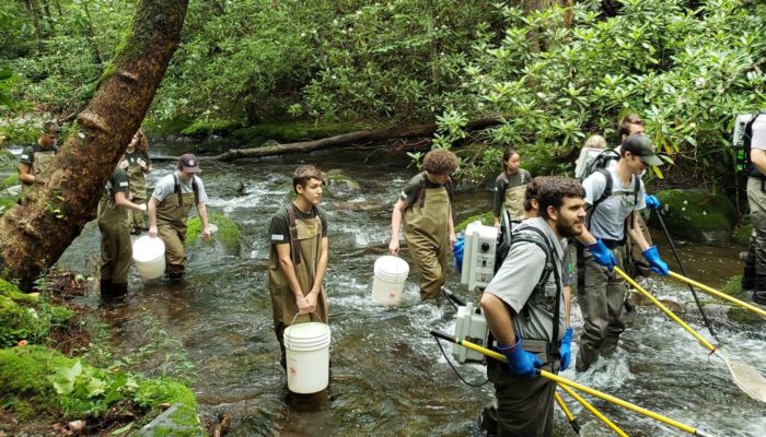 electrofishing in GSMNP Middle Prong