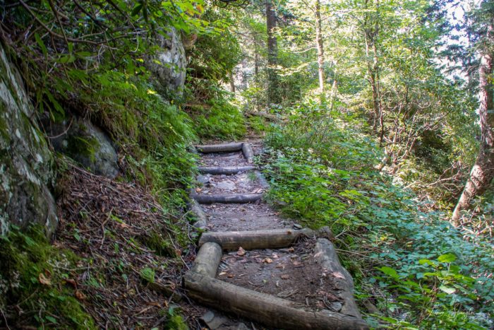 stairs on Trillium Gap Trail