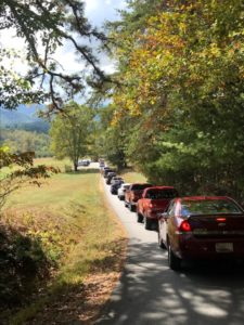 cades-cove-traffic-2019