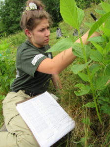 Morgan Proctor in GSMNP ozone garden