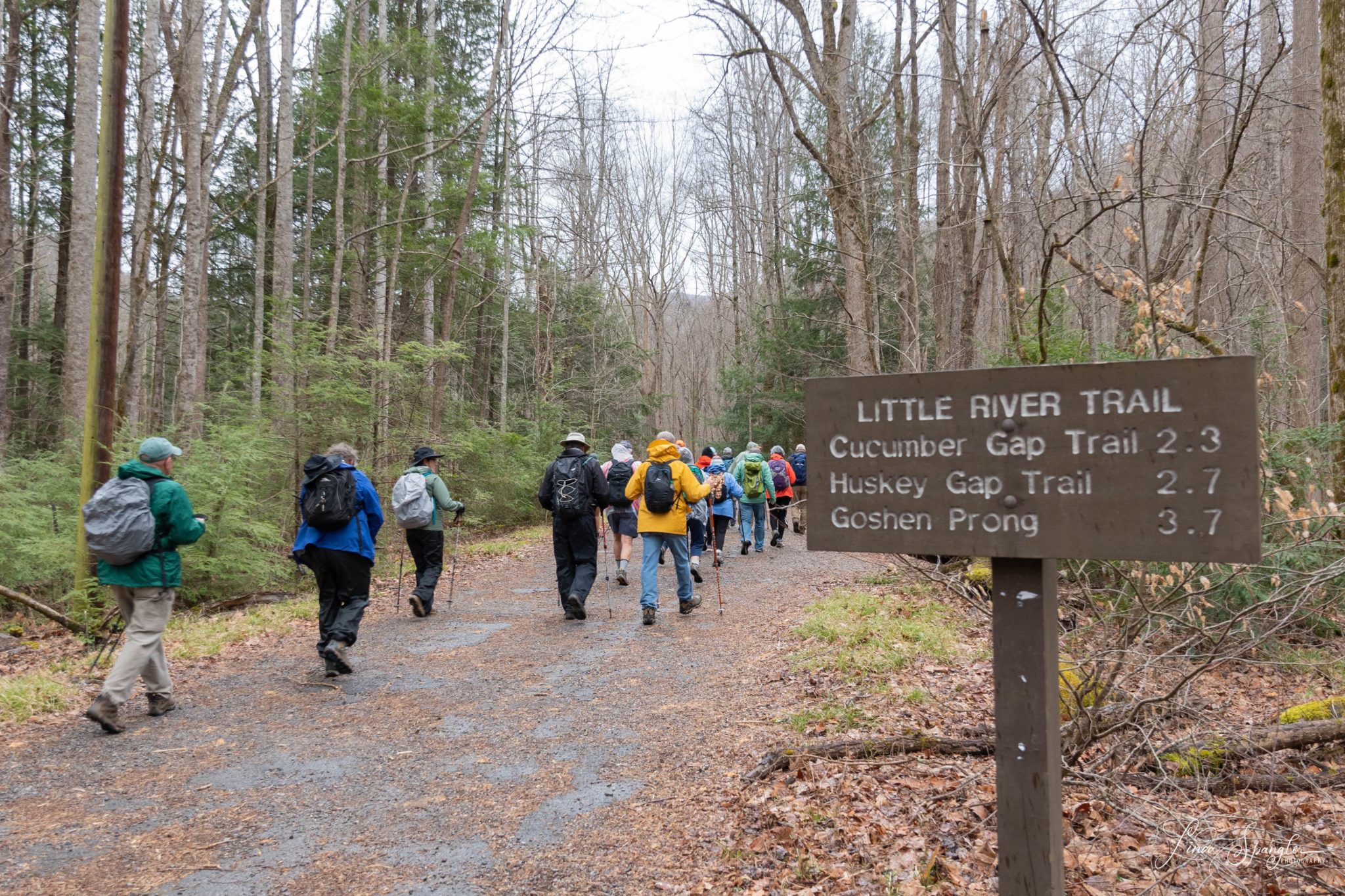 hikers on Little River Trail