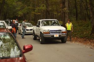 bear jam on Cades Cove Loop Road