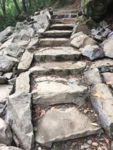 Trillium Gap Trail restoration - after