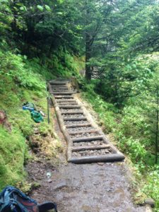 Trillium Gap Trail restoration - after