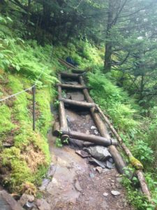 Trillium Gap Trail restoration - in progress
