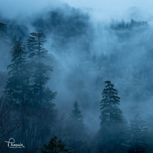 Whiteout - photograph taken by Phoenix at Morton's Overlook. 30x30 on metal