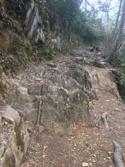 Abrams Falls Trail trail tread before repair