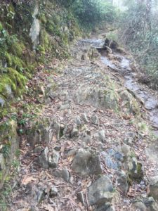 Abrams Falls Trail trail tread before repair