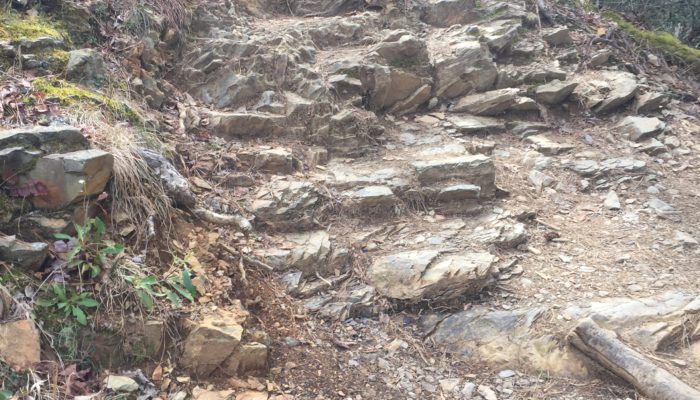 Abrams Falls Trail trail tread before repair