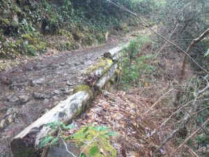 Abrams Falls Trail trail wall before repair