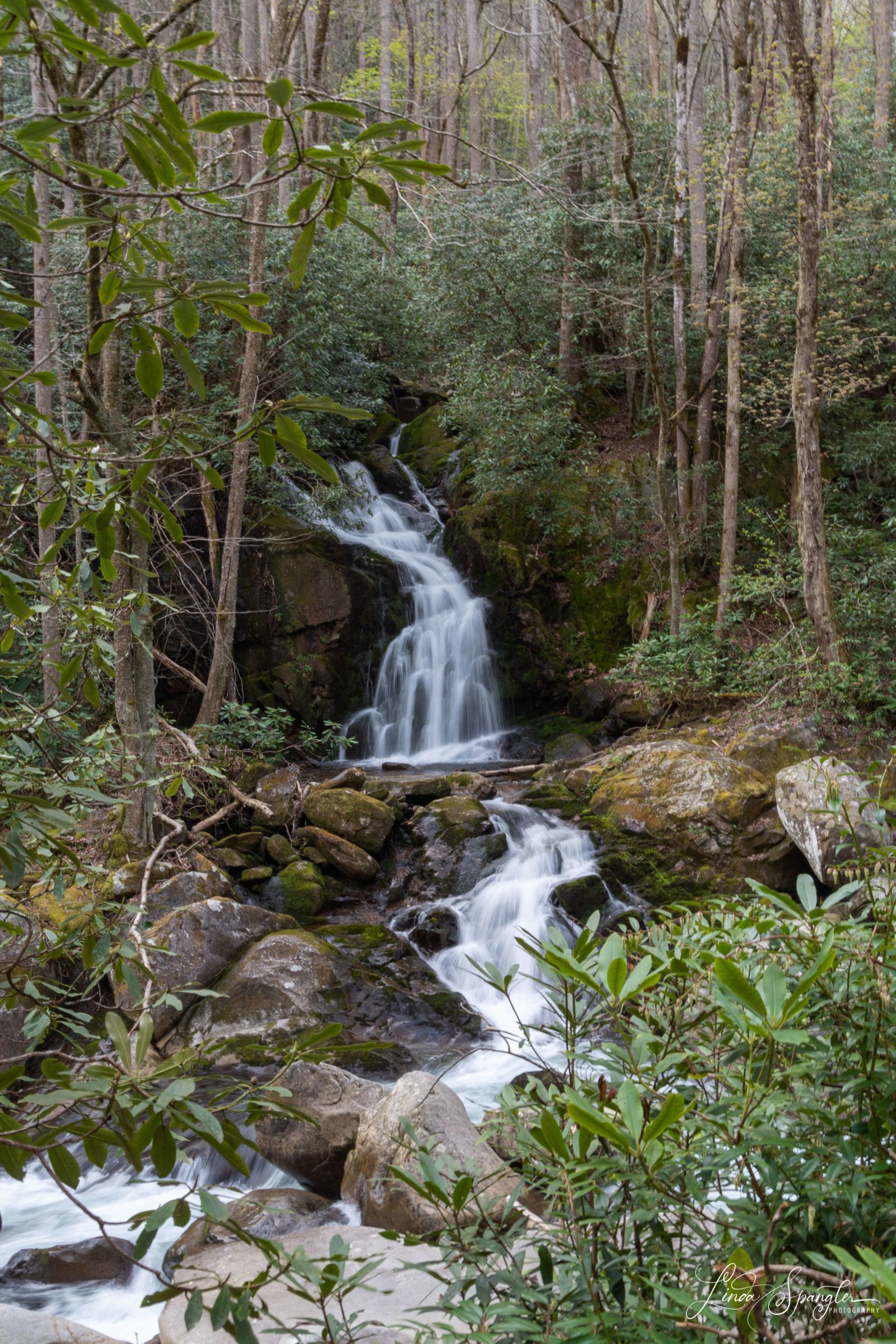 Mouse Creek Falls on Big Creek Trail. | Friends of the Smokies